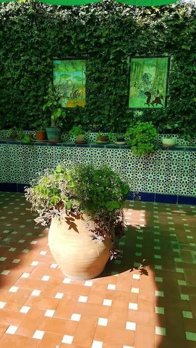 Sevilla A Tus Pies Mairena del Aljarafe